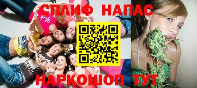 гашик Пыть-Ях