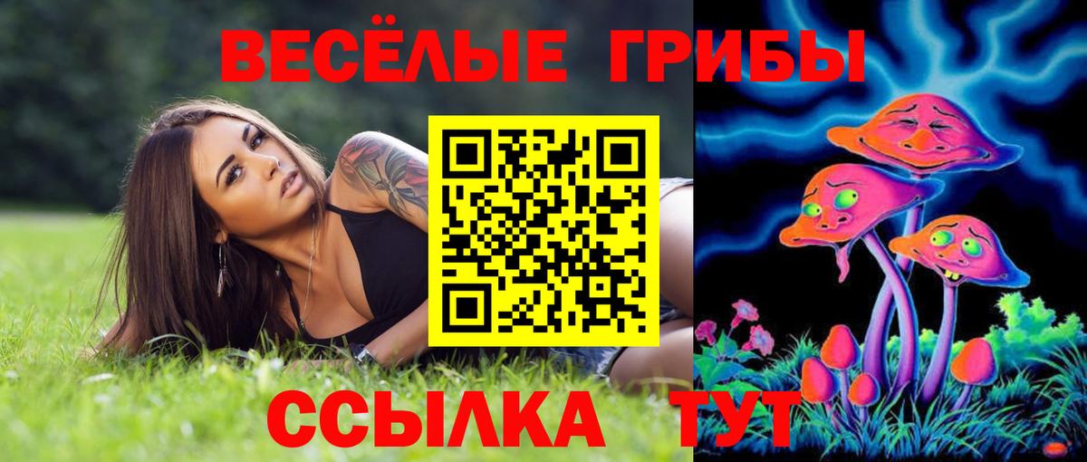 Галлюциногенные грибы ЛСД  Вход с VPN  Нововоронеж 